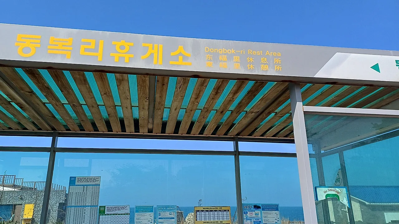 20250311_144956.jpg?type=w1600