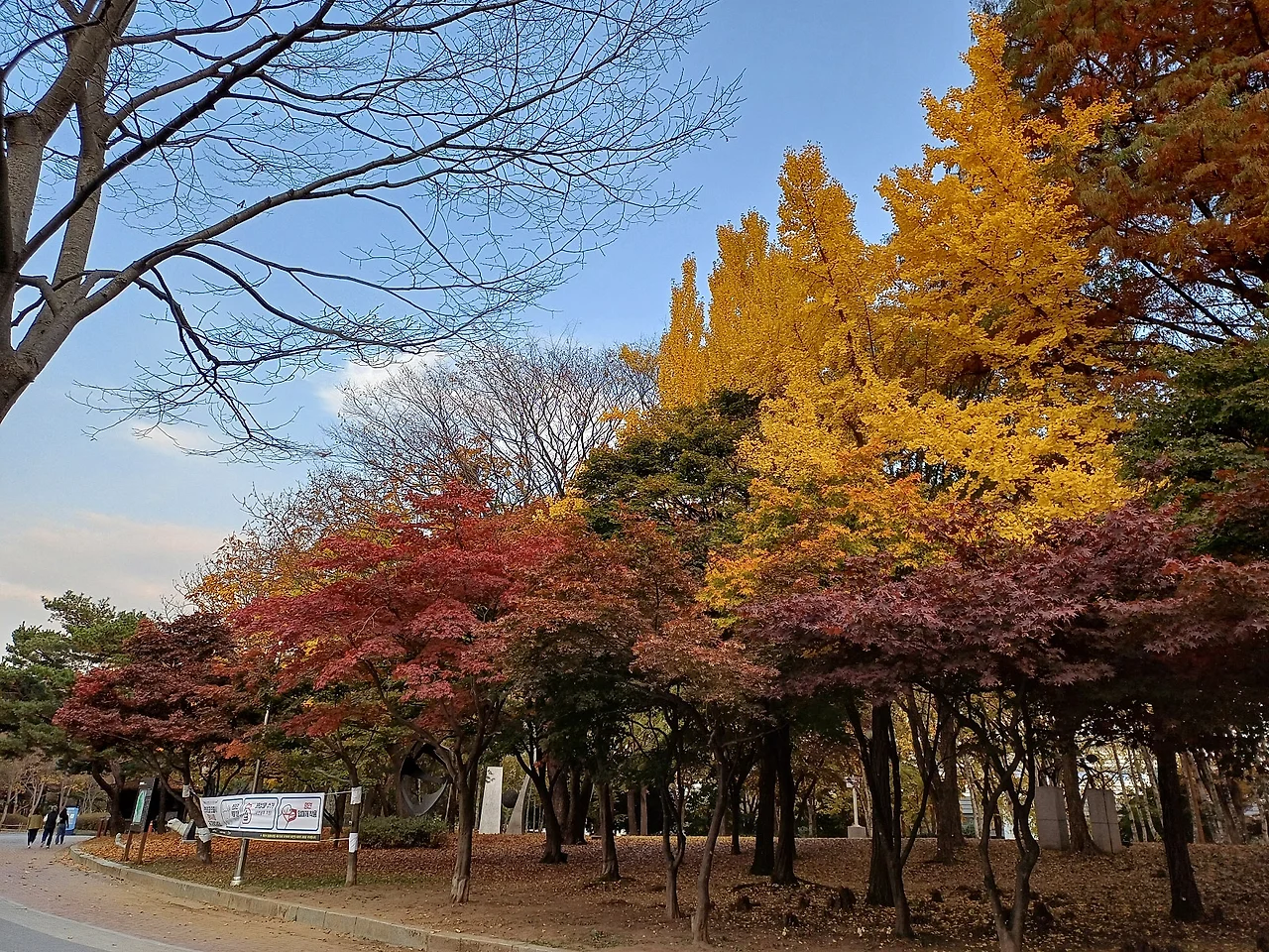 20241113_162143.jpg?type=w1600