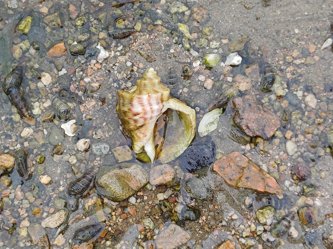 20250613_150449.jpg?type=w1600