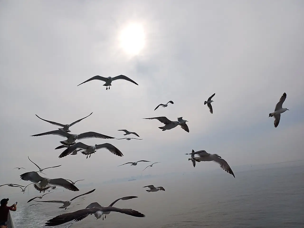 20250613_082151.jpg?type=w1600