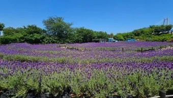 %EB%8B%A4%EC%9A%B4%EB%A1%9C%EB%93%9C-8.jpeg?type=w1600