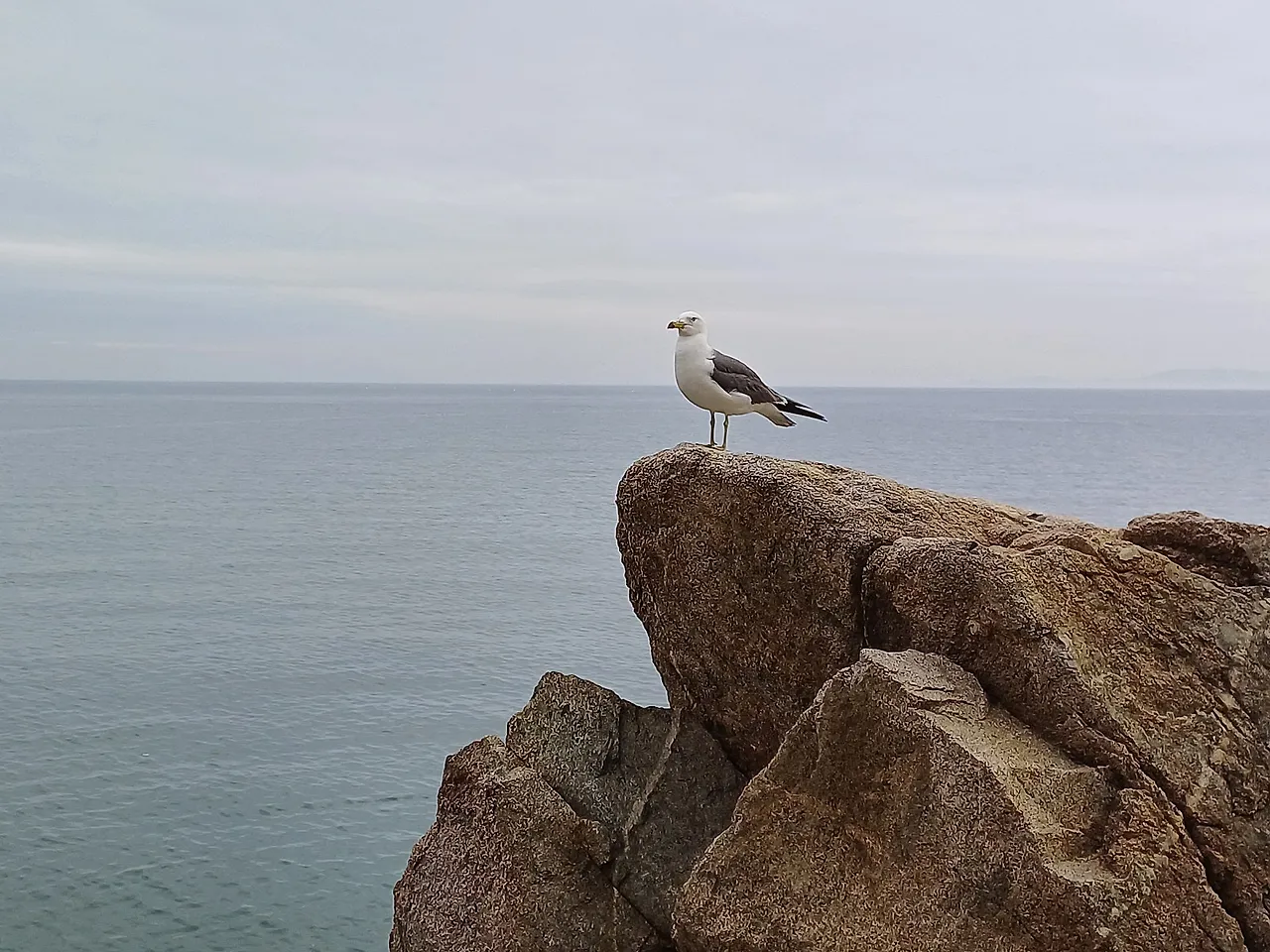 20250614_064924.jpg?type=w1600