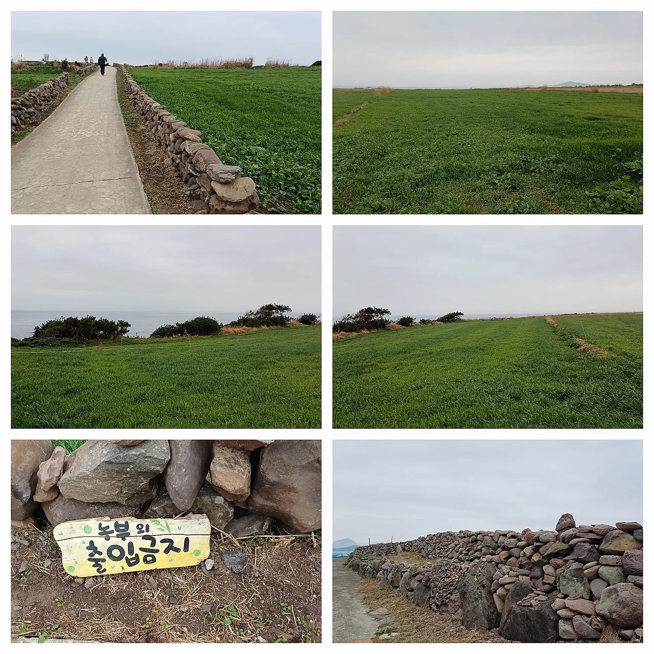 20250312_113320.jpg?type=w1600