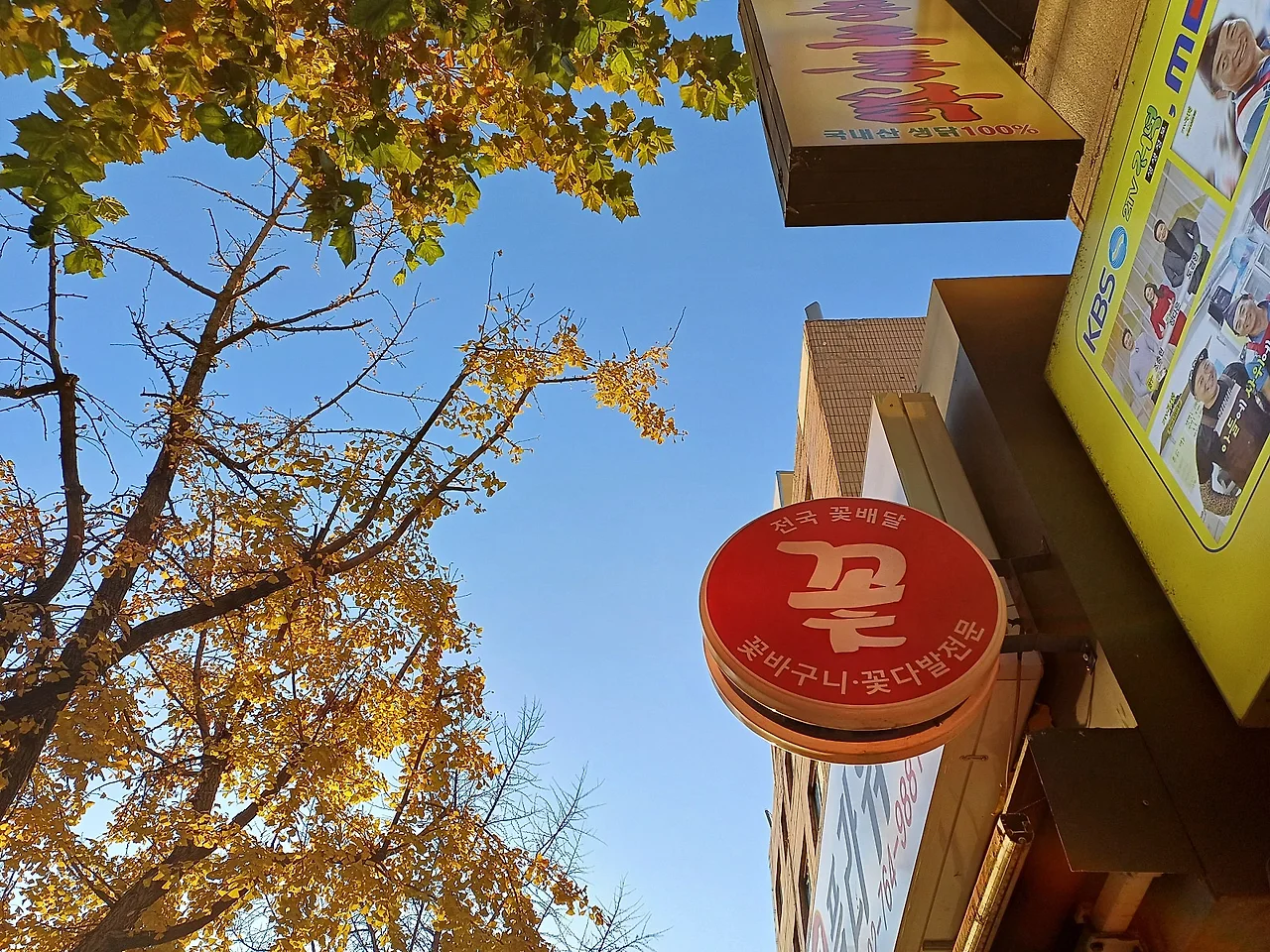 20241203_163046.jpg?type=w1600