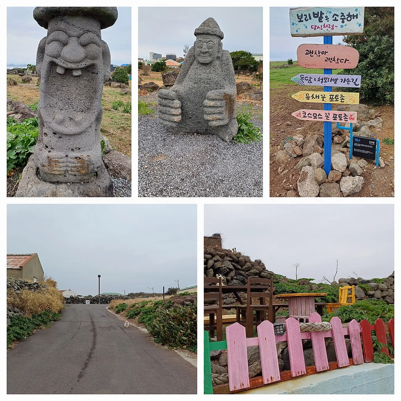 20250312_113226.jpg?type=w1600