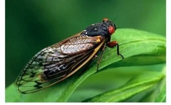 IMG_5063.jpeg?type=w1600