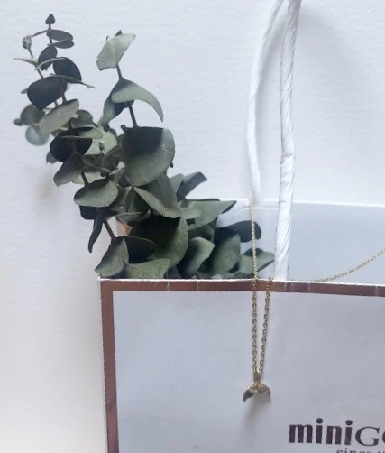 SE-5636d05f-4ac2-49e9-b6da-254114918287.jpg?type=w1