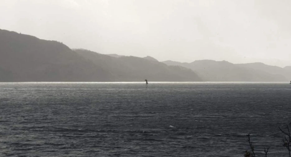 SE-440de93b-8513-4dbb-90e3-10d8c1067337.jpg?type=w1