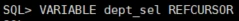 2-5-1-1__PEFCURSOR_%EB%B0%94%EC%9D%B8%EB%93%9C_%EB%B3%80%EC%88%98_%EC%82%AC%EC%9A%A9.png?type=w773