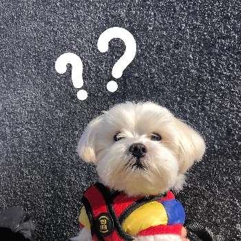 image.png?type=w1200