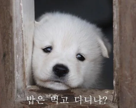 %EB%B0%A5%EC%9D%80_%EB%A8%B9%EA%B3%A0_%EB%8B%A4%EB%8B%88%EB%83%90.jpg?type=w1200