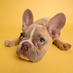 image_3197483001618987772819.jpg?type=w1200