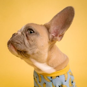 image_575235211618987772819.jpg?type=w1200