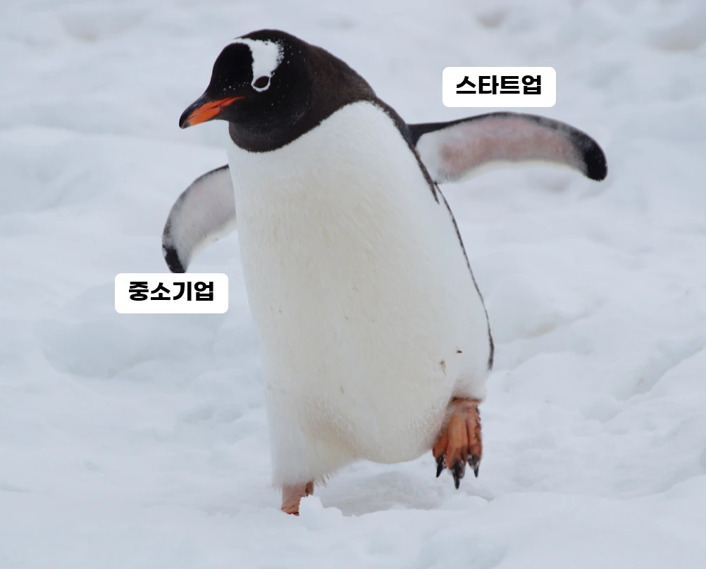 %ED%99%94%EB%A9%B4_%EC%BA%A1%EC%B2%98_2021-06-09_132712.png?type=w1200