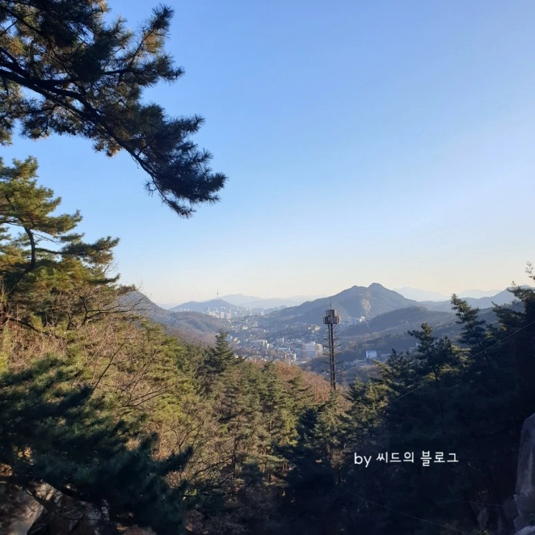 1701513066993.jpg?type=w773