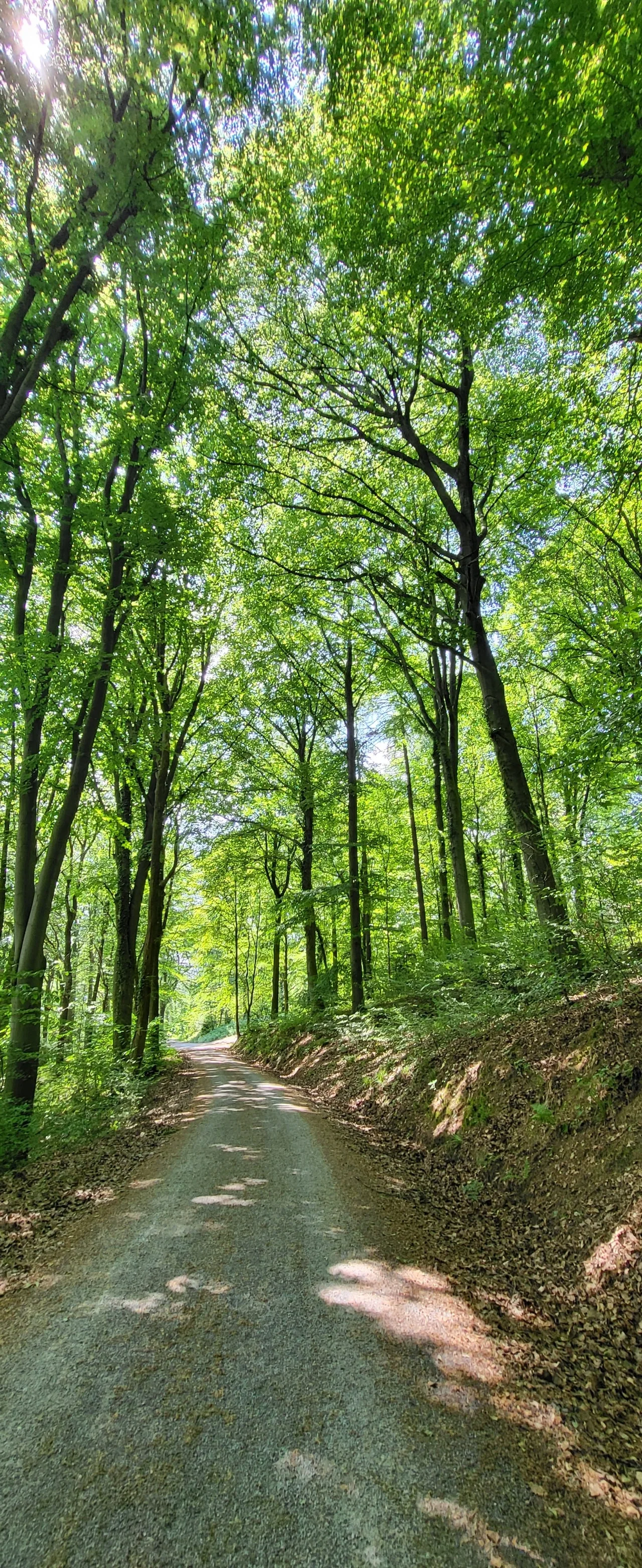 20230603%EF%BC%BF133632.jpg?type=w1600