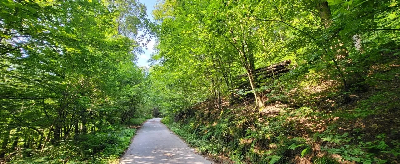 20240721%EF%BC%BF091139.jpg?type=w1600