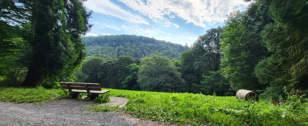 20240721%EF%BC%BF093449.jpg?type=w1600