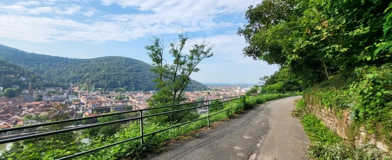 20240721%EF%BC%BF092102.jpg?type=w1600