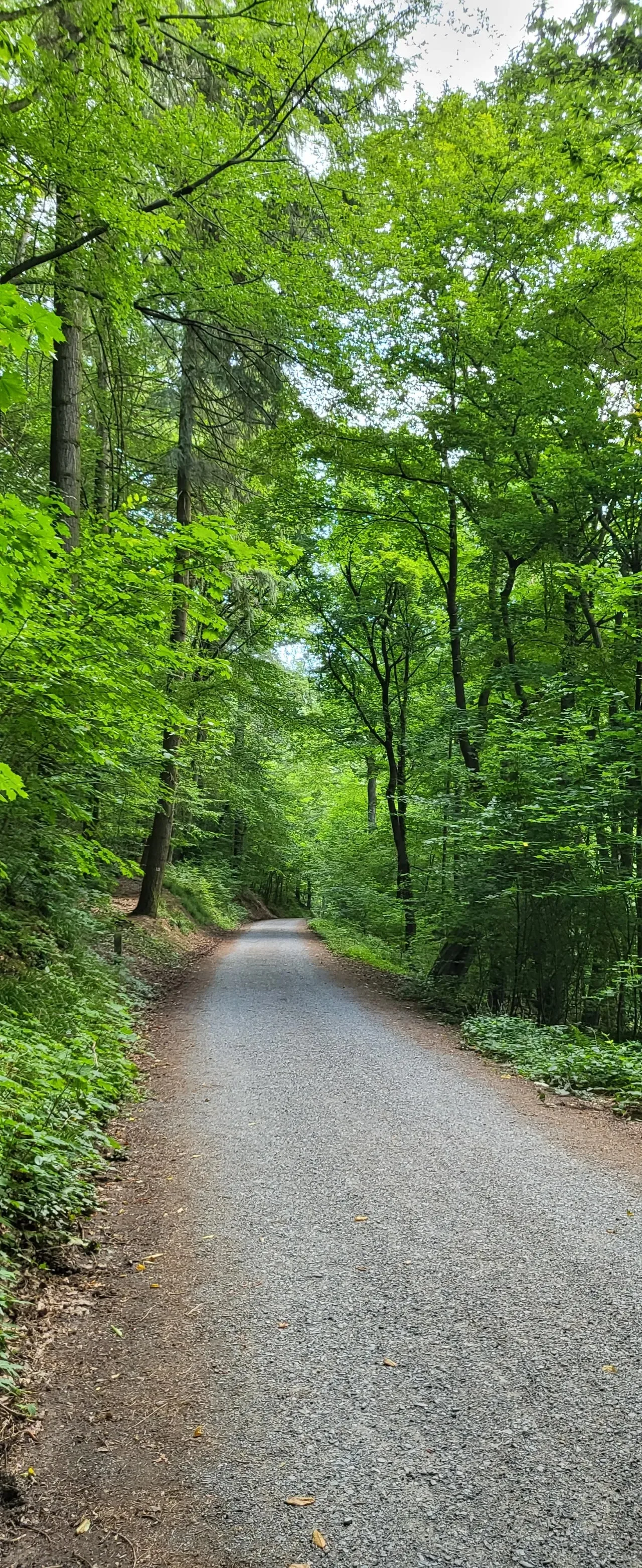 20240721%EF%BC%BF093620.jpg?type=w1600