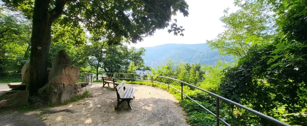 20240721%EF%BC%BF092506.jpg?type=w1600