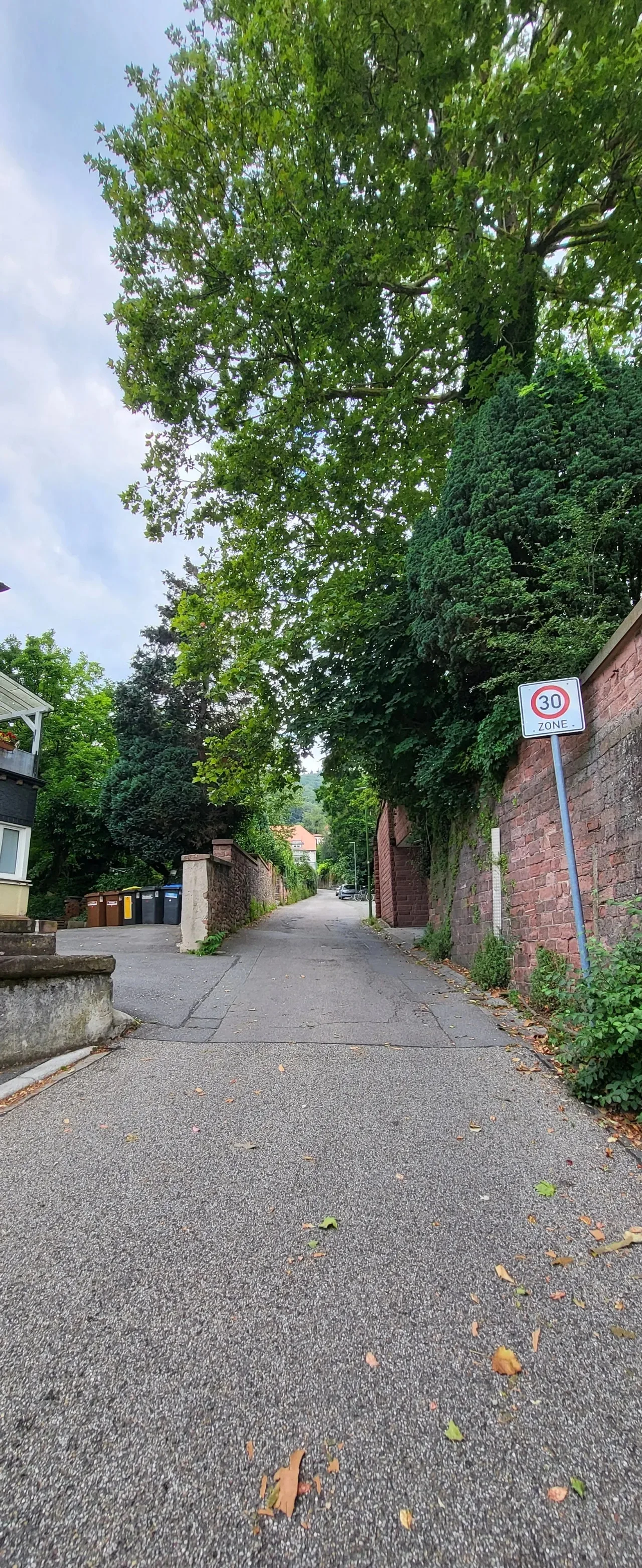 20240721%EF%BC%BF085938.jpg?type=w1600