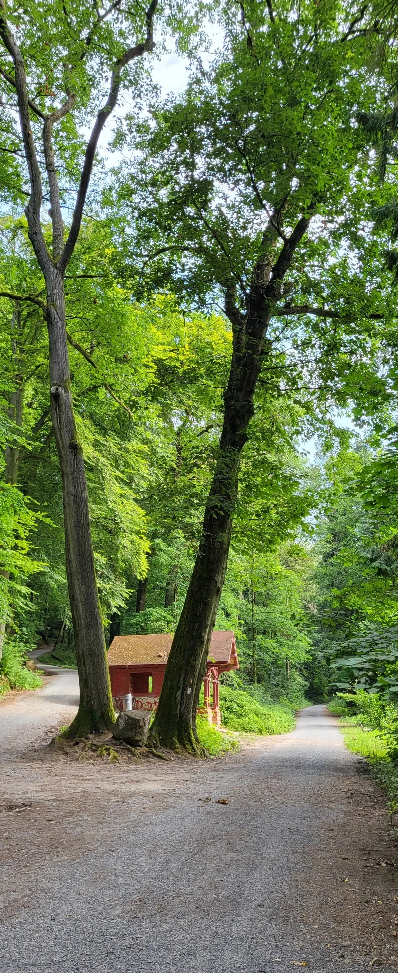 20240721%EF%BC%BF093414.jpg?type=w1600