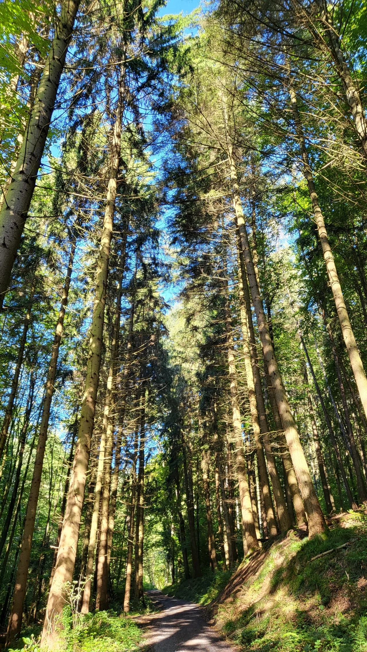 20240929%EF%BC%BF103718.jpg?type=w1600