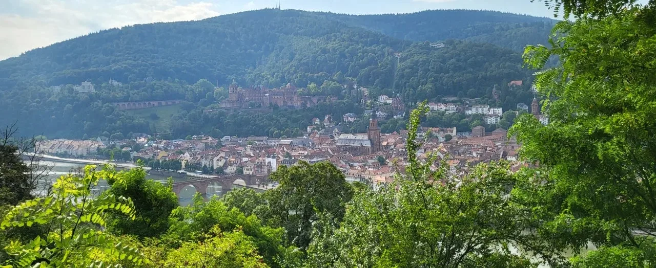 20240721%EF%BC%BF092648.jpg?type=w1600