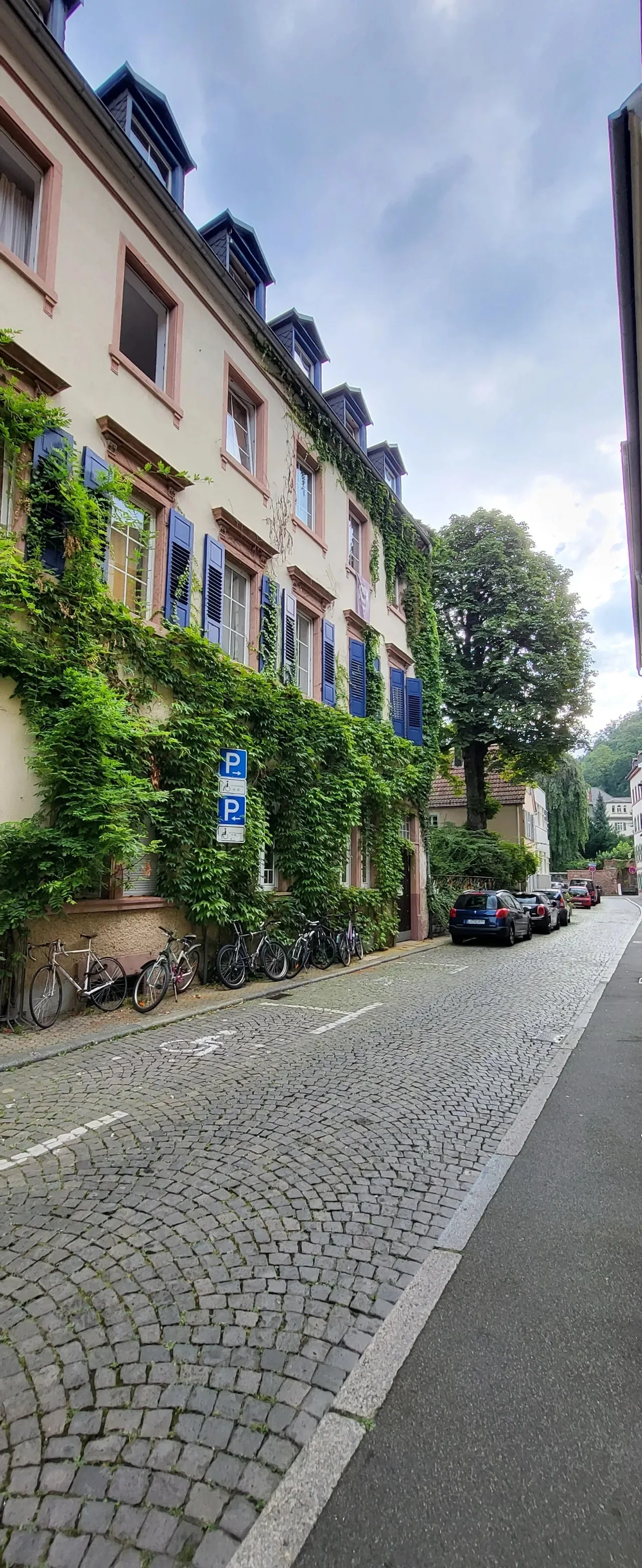 20240721%EF%BC%BF085136.jpg?type=w1600