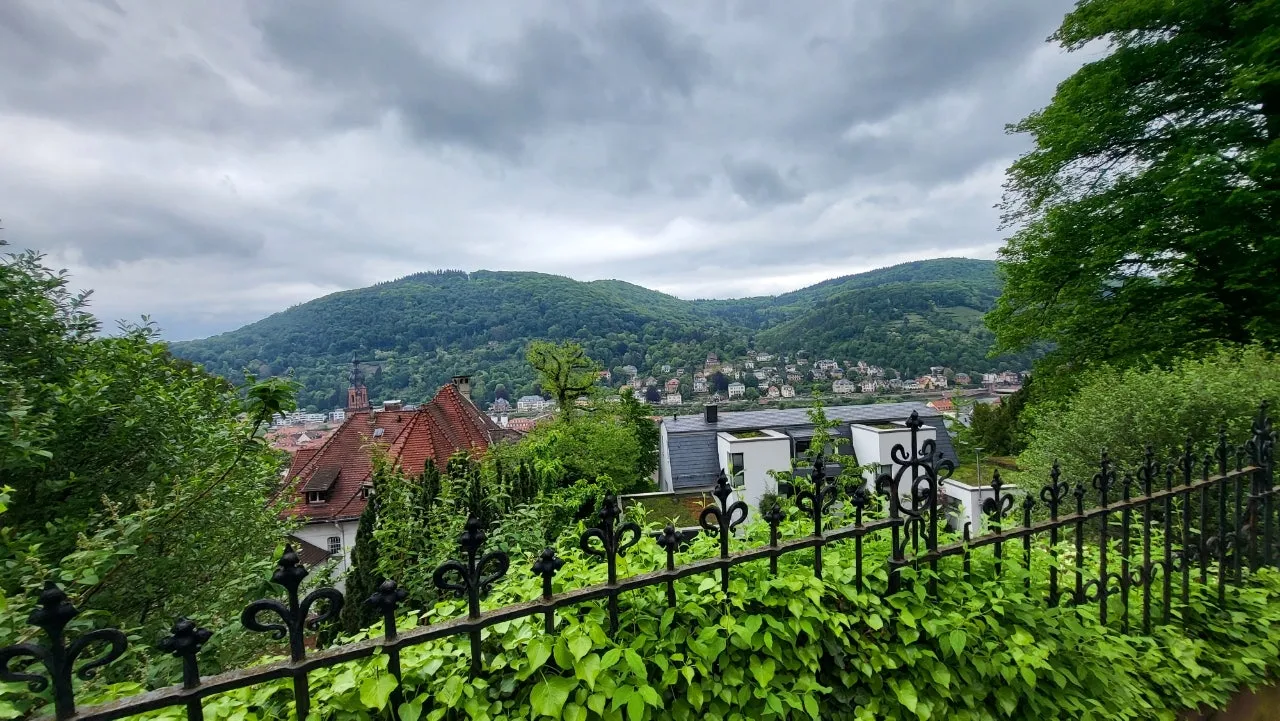 20240507%EF%BC%BF140923.jpg?type=w1600