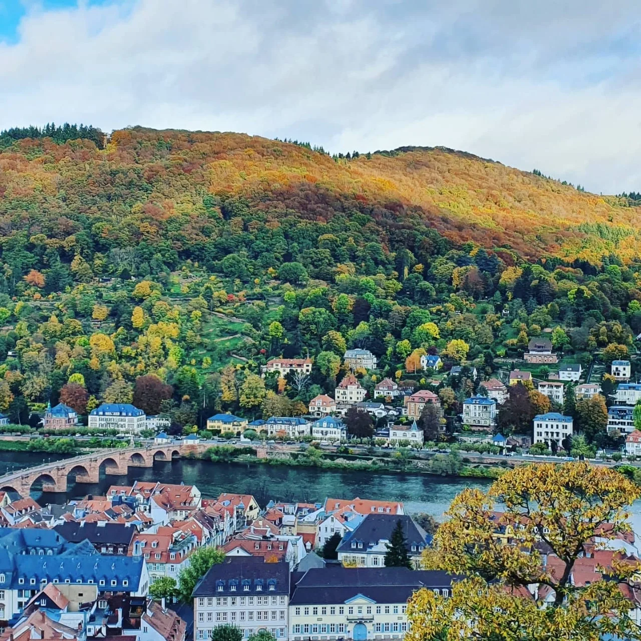 IMG%EF%BC%BF20201029%EF%BC%BF100339%EF%BC%BF118.jpg?type=w1600