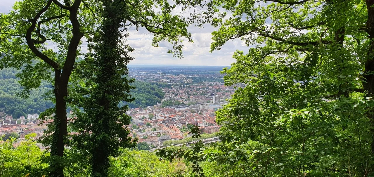 20210528%EF%BC%BF135205.jpg?type=w1600