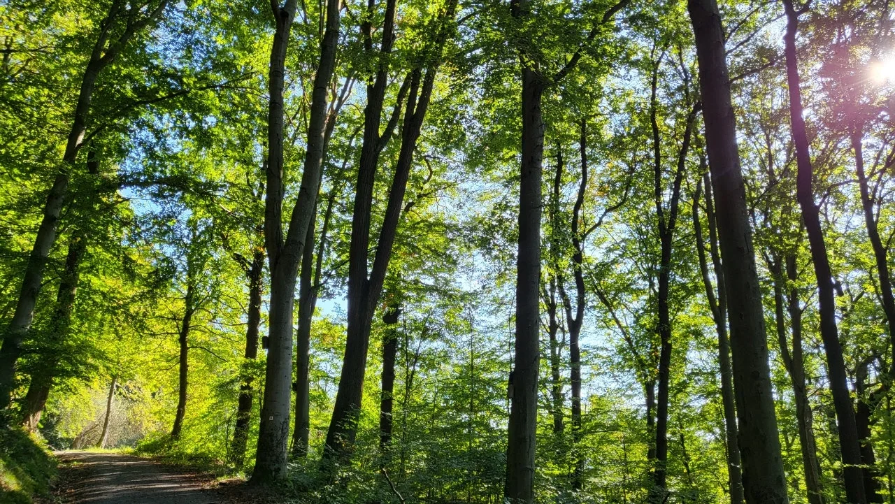 20240929%EF%BC%BF102426.jpg?type=w1600