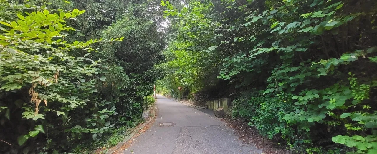 20240721%EF%BC%BF090431.jpg?type=w1600