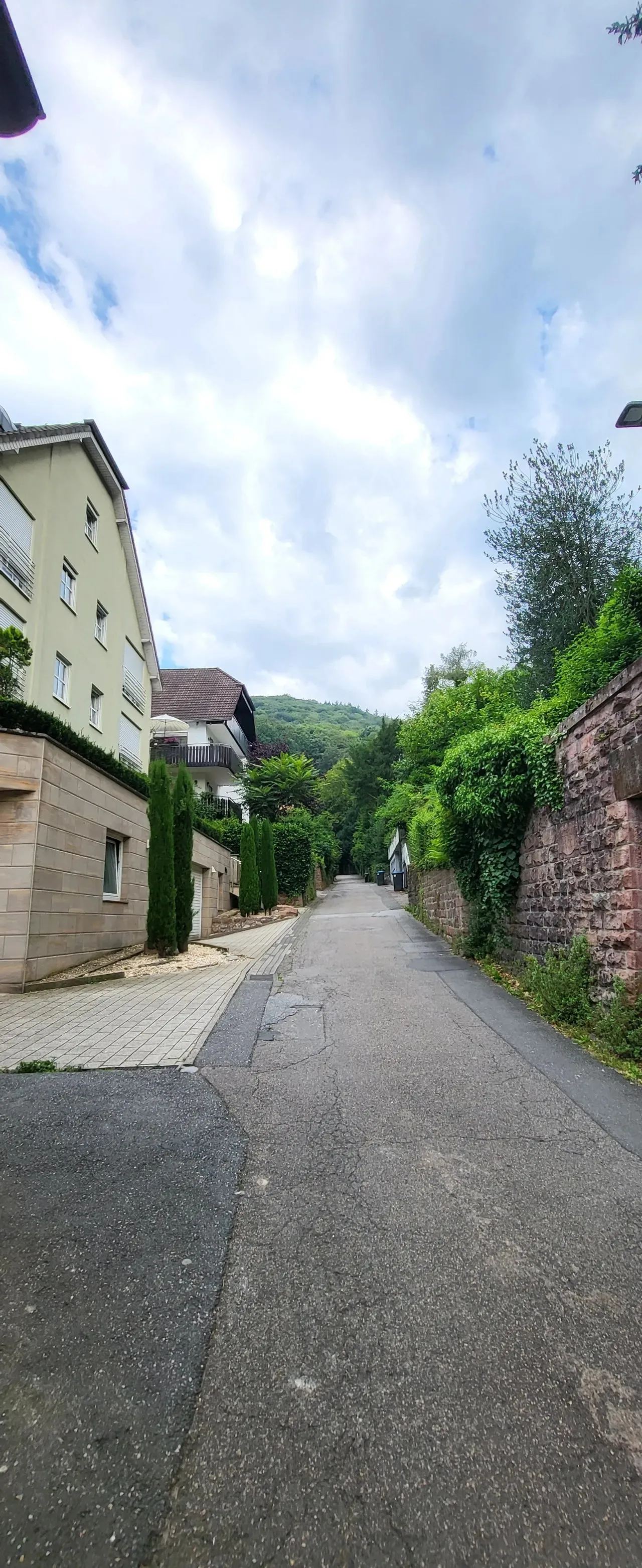 20240721%EF%BC%BF090115.jpg?type=w1600