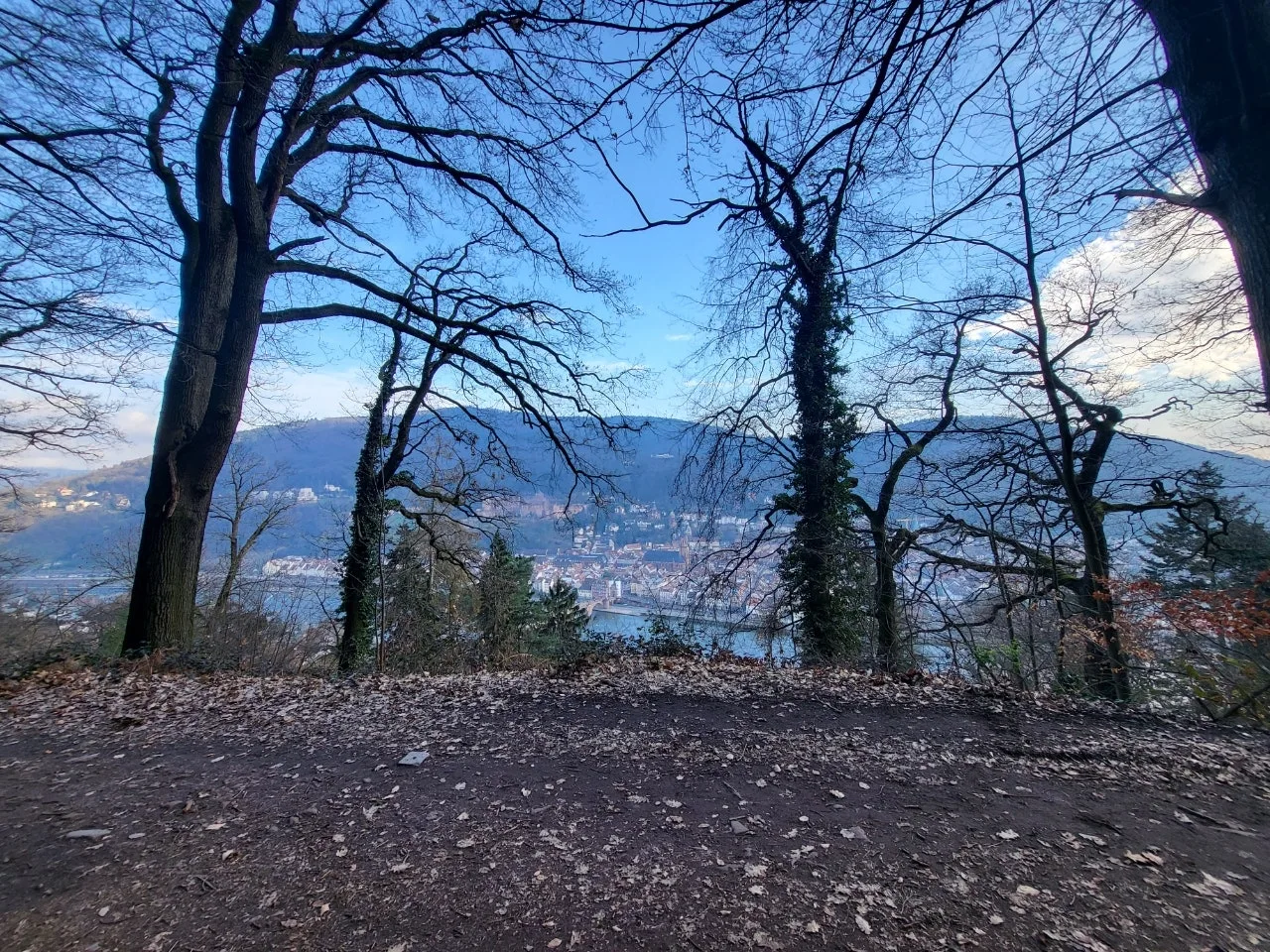 20240318%EF%BC%BF155654.jpg?type=w1600