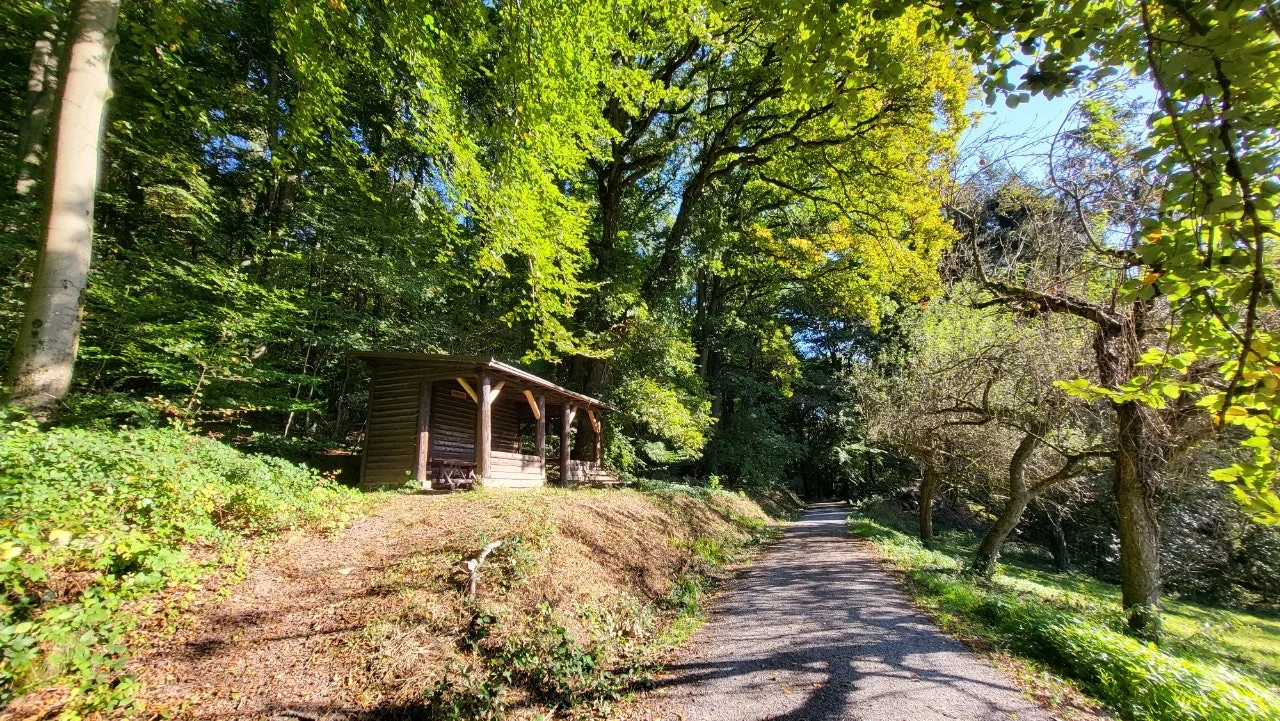 20240929%EF%BC%BF102511.jpg?type=w1600