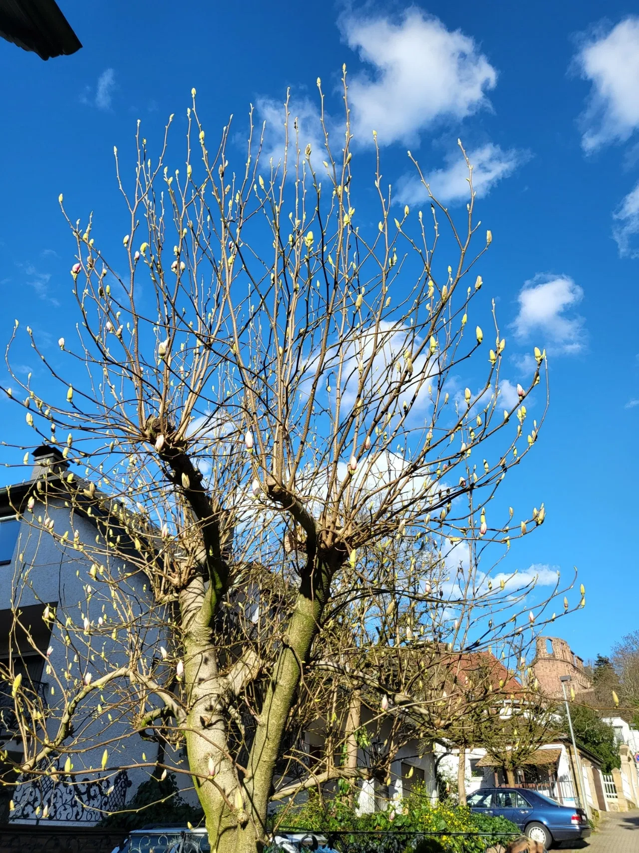 20240311%EF%BC%BF160103.jpg?type=w1600