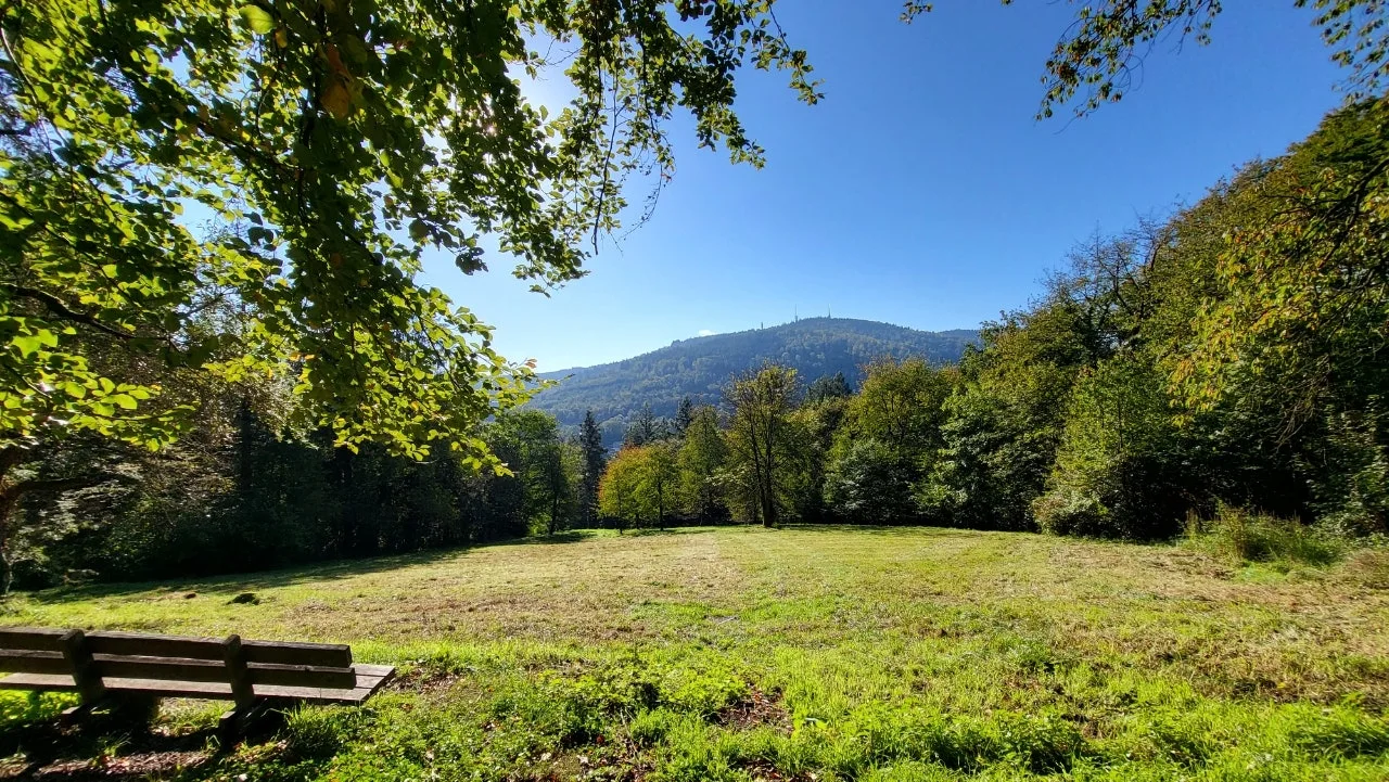 20240929%EF%BC%BF102525.jpg?type=w1600