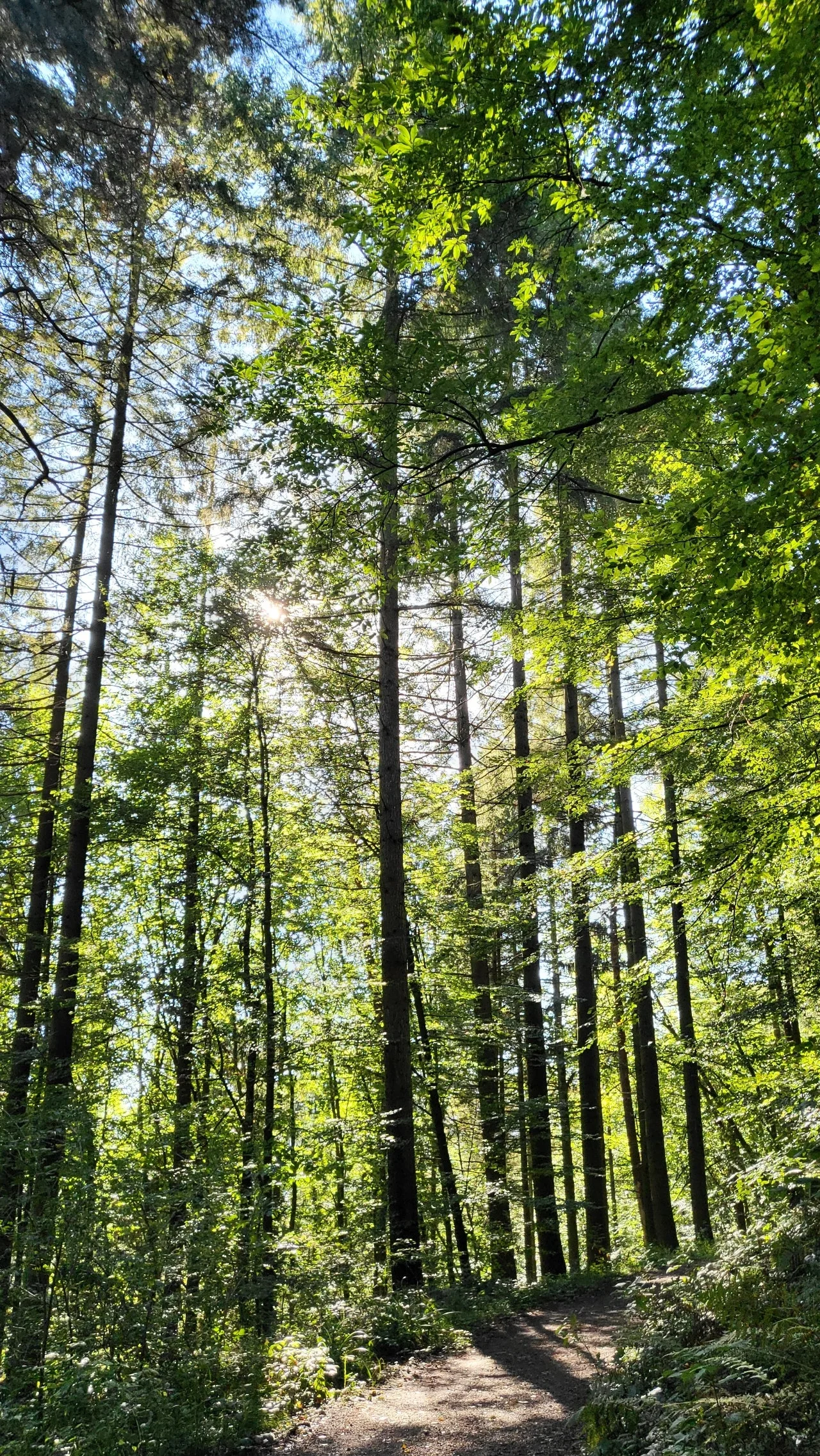 20240929%EF%BC%BF104059.jpg?type=w1600