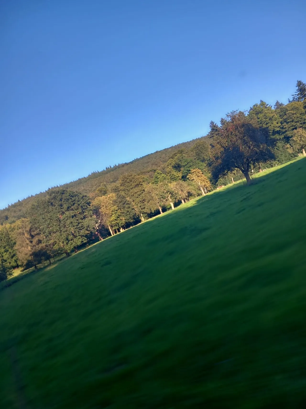 IMG%EF%BC%8D20230908%EF%BC%8DWA0002.jpg?type=w1600