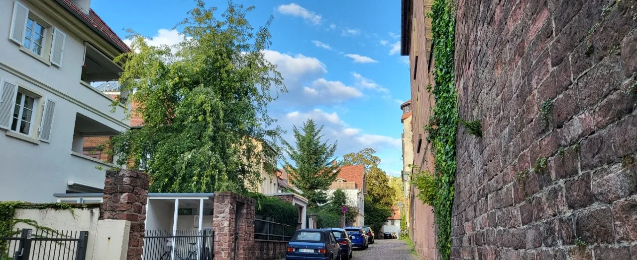 20230922%EF%BC%BF180954.jpg?type=w1600