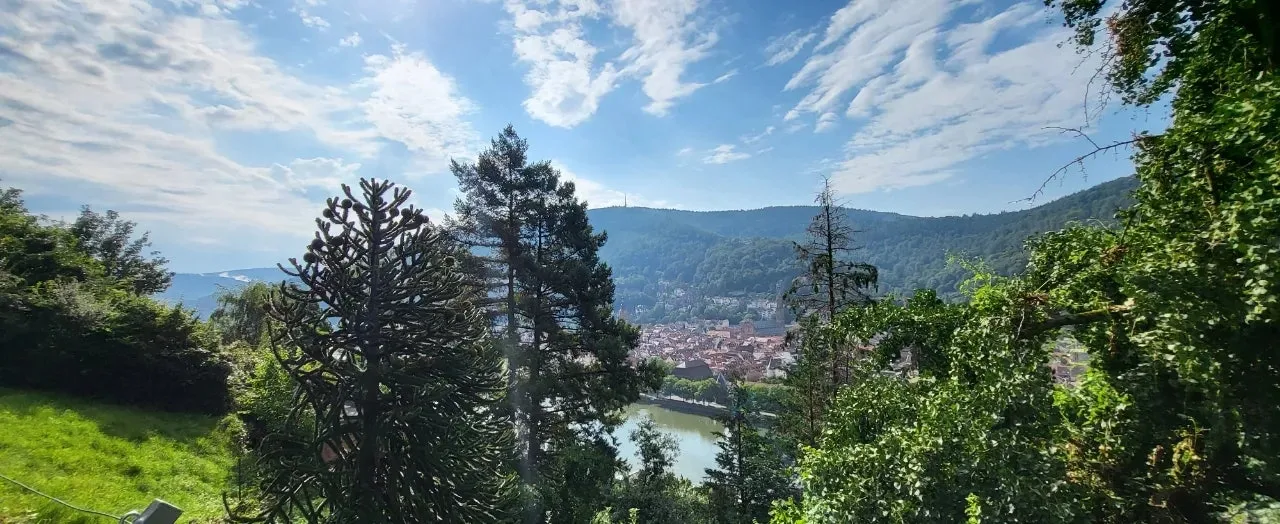 20240721%EF%BC%BF092436.jpg?type=w1600