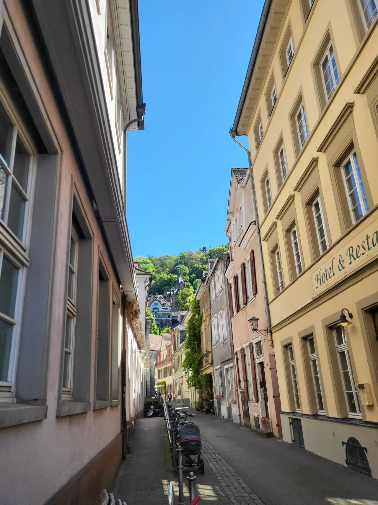 20240427%EF%BC%BF144322.jpg?type=w1600