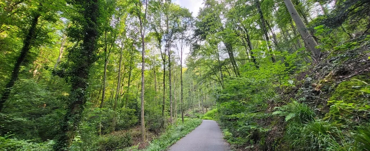 20240721%EF%BC%BF090858.jpg?type=w1600