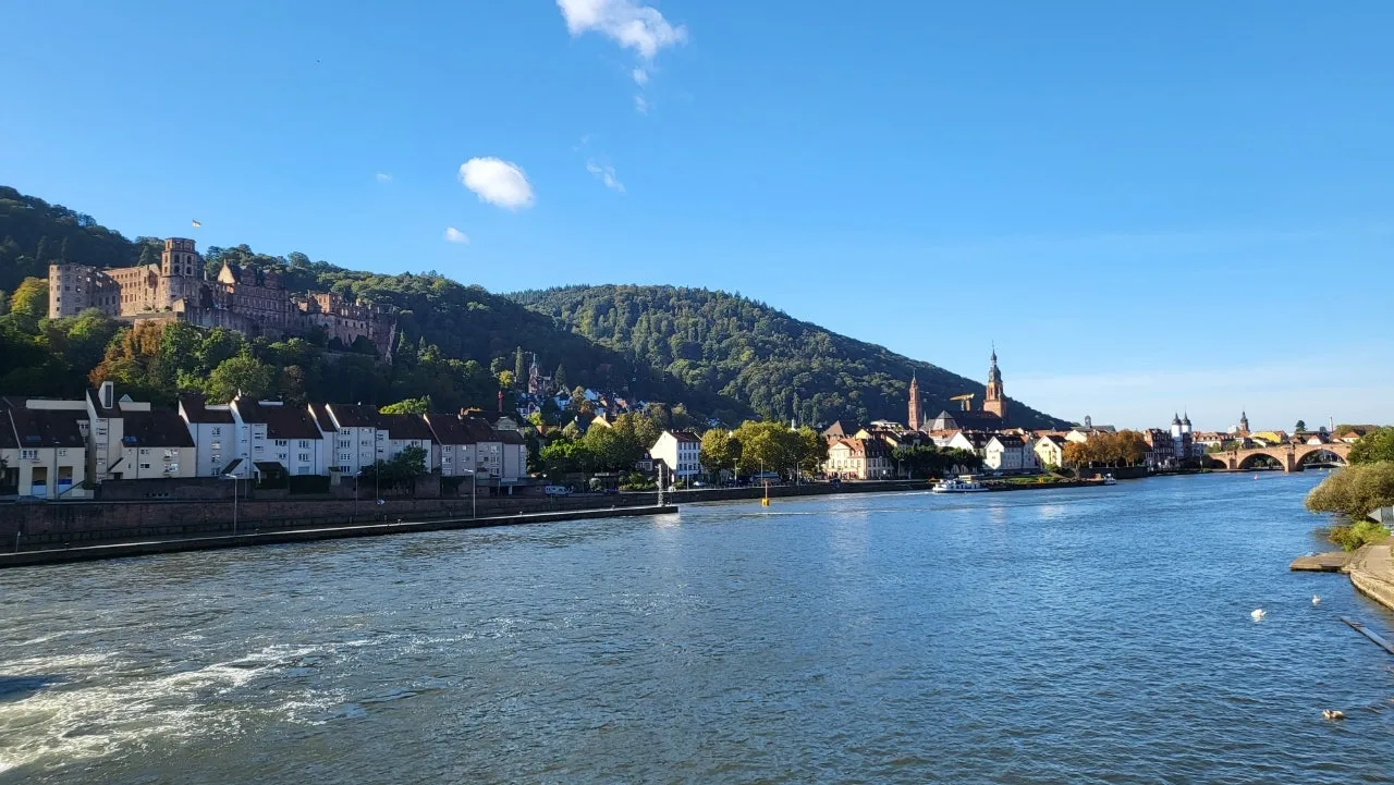 20240929%EF%BC%BF100424.jpg?type=w1600