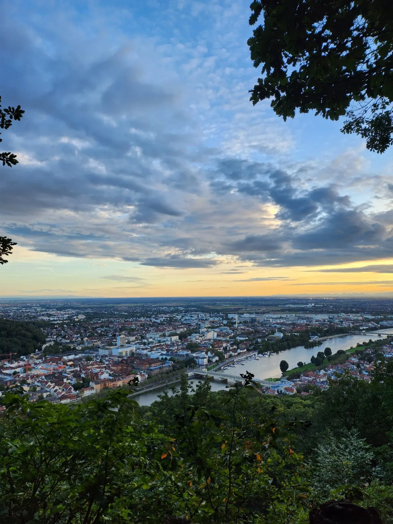 IMG%EF%BC%8D20230901%EF%BC%8DWA0001.jpg?type=w1600