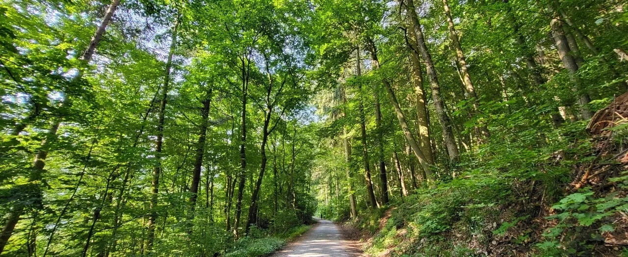 20240721%EF%BC%BF091329.jpg?type=w1600