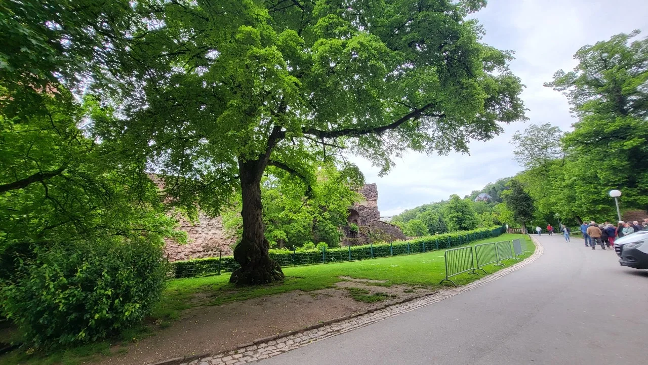 20240507%EF%BC%BF142501.jpg?type=w1600